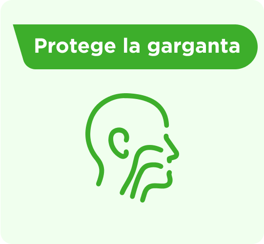 Icono head